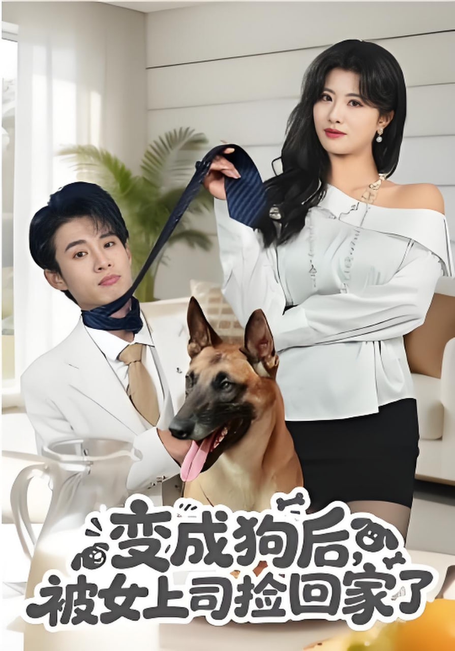 变成狗后，被女上司捡回家了